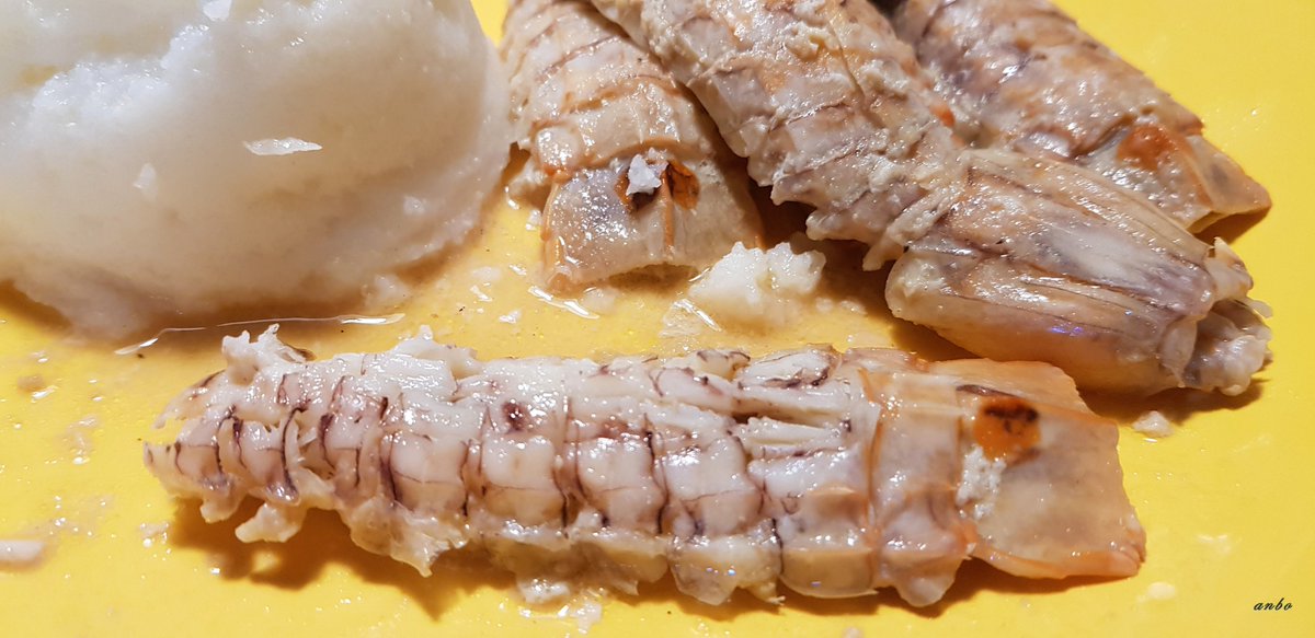 .@homeofgastro -

#isola di #GRADO #island - 

Casa Boemo

#Canoce in #boreto con polenta bianca (brodetto alla gradese di #cicale di #mare) - foto <a href="/anboemo/">Antonio Boemo</a> - 

<a href="/abollis/">Alberto Bollis</a> <a href="/caicio/">Anders Caicio</a> <a href="/LaConsiglieria/">LaConsiglieria</a> <a href="/CiriSince1978/">Giuseppe</a> <a href="/marina52182/">Marina 🦊🎾❤️</a> <a href="/Alerediviva1/">Collamax503</a> <a href="/SuttoraM/">suttora marina</a> <a href="/SaraSanson67/">Sara Sanson</a> <a href="/Karolinapalac20/">Karolina palacios</a>
