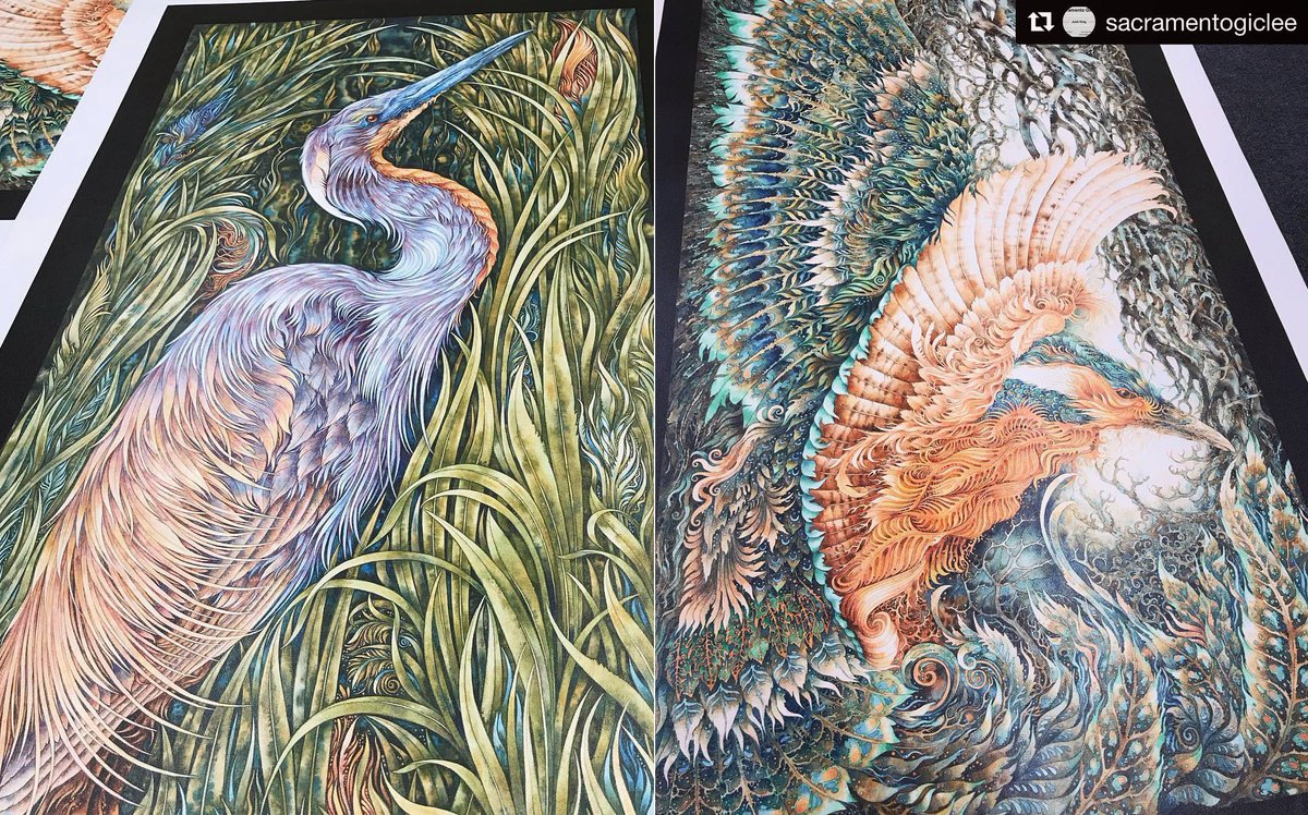 FredrixPrint's tweet photo. When detail counts, trust USA-made Fredrix to last for generations. Find us in the U.S. at @LexJet and Internationally at MMorel@taramaterials.com #Repost Sacramento Giclee Printing
Couple nice #fredrixprintcanvas prints for #davewooten #birds #colorful #detail #artoftheday https://t.co/DDLJEfBWt6