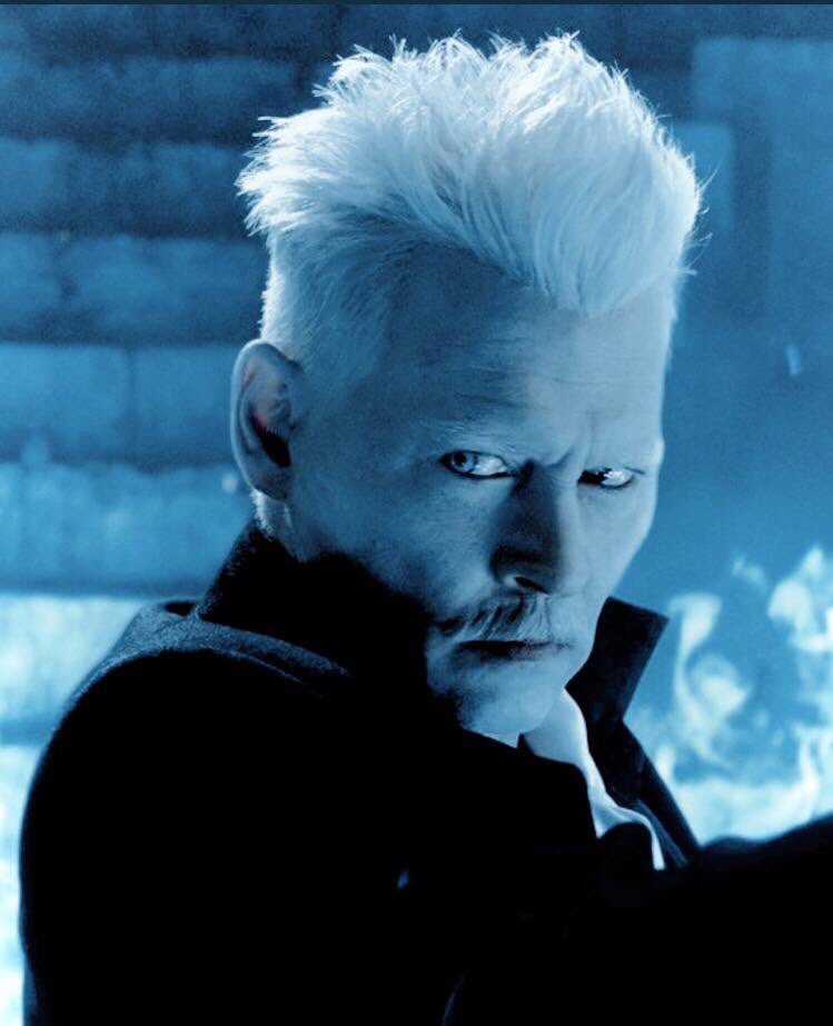 farrartina1212's tweet photo. #JohnnyDepp #GellertGrindelwald #topwizard #bestactorofourgeneration https://t.co/dN7cTghIH6