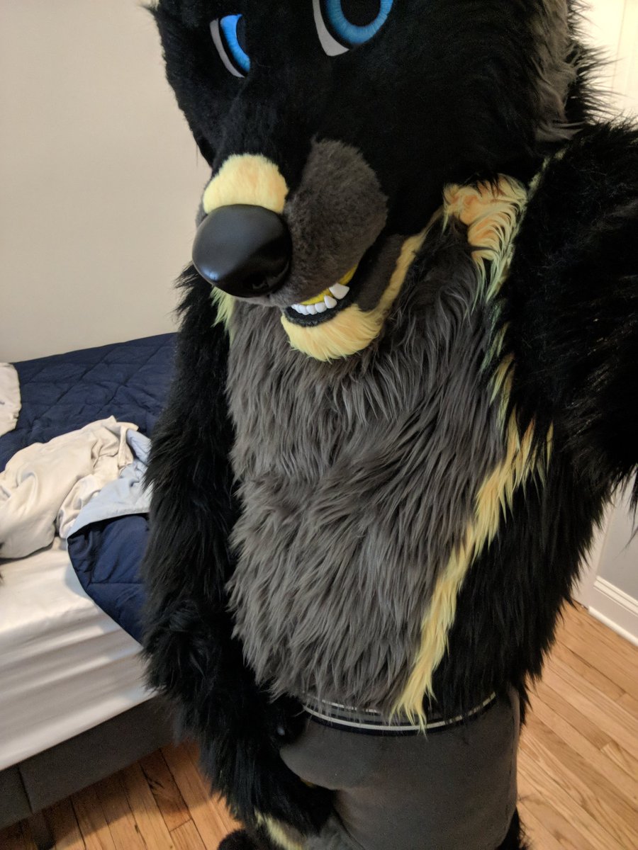 AfterDarkWuf's tweet image. Guess I haven't done it yet :3