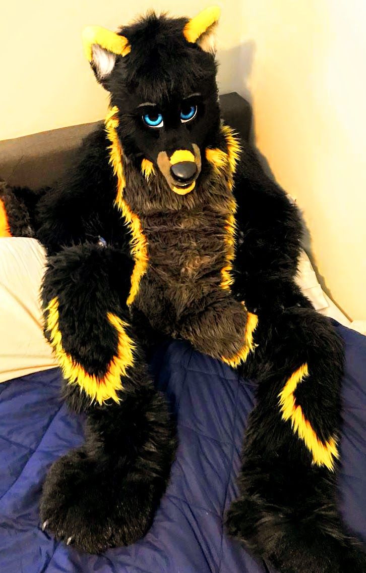 AfterDarkWuf's tweet image. Guess I haven't done it yet :3