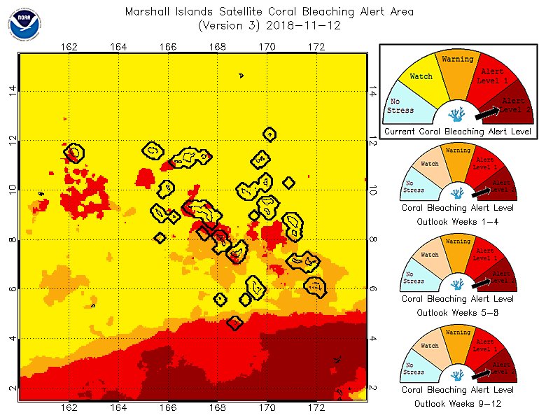 CoralReefWatch's tweet photo. Major #coralbleaching in Republic of Marshall Islands. Reported down to at least 60' depth, 75% of Acropora, many others affected at both Majuro and Kwajelein. This on top of bleaching in Tuvalu and Gilbert Islands. See more at https://t.co/XNkaG12Hhd https://t.co/6xKRYFTxRV