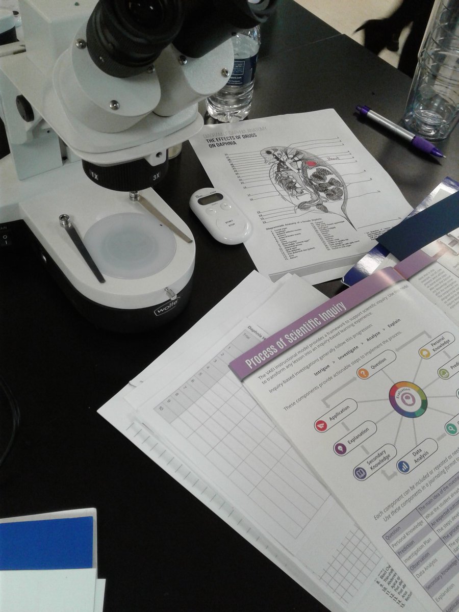 SusanDykshoorn's tweet photo. Learning the instructional model for inquiry-based science @we_are_vaei using little daphnia! #CSESAcademy #CSI4edu https://t.co/bwZL1Yn0f8