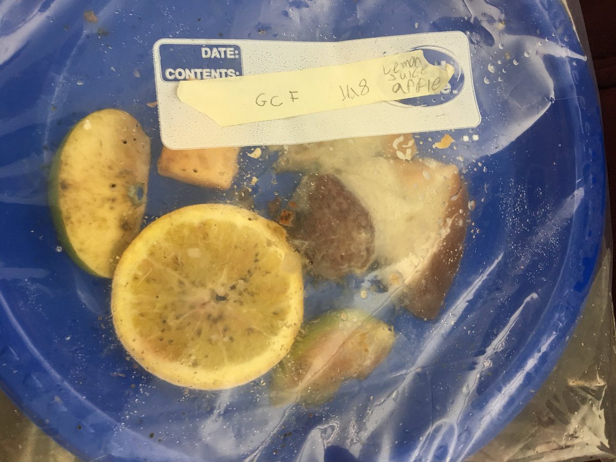 Laura Suckerman tweet media