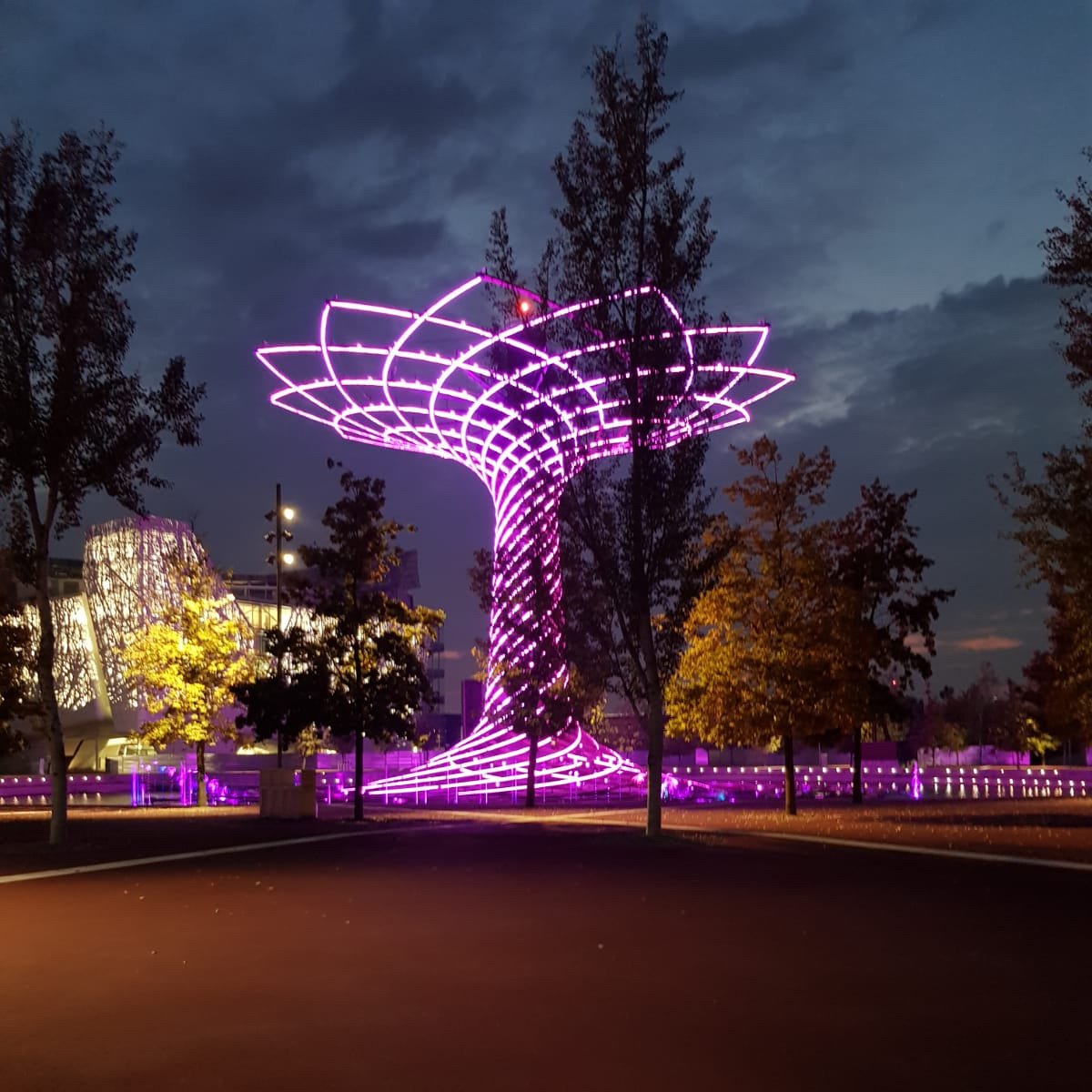 Nella giornata mondiale per la lotta contro il Tumore al Pancreas, l’Albero della Vita si colora di viola per sostenere la Campagna di Sensibilizzazione "Facciamo Luce sul Tumore al Pancreas" dell'Associazione Nastro Viola.
 #MINDmilano