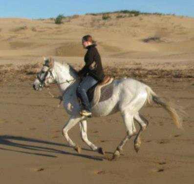 Jonska3's tweet photo. Spirit and I. Morocco some years ago
#morocco #marruecos #essaouira #horses #horseriding #馬 #atlar #hevoset #ratsastus #marokko #乗馬 #equitación #equitació #binme https://t.co/cL416fA384