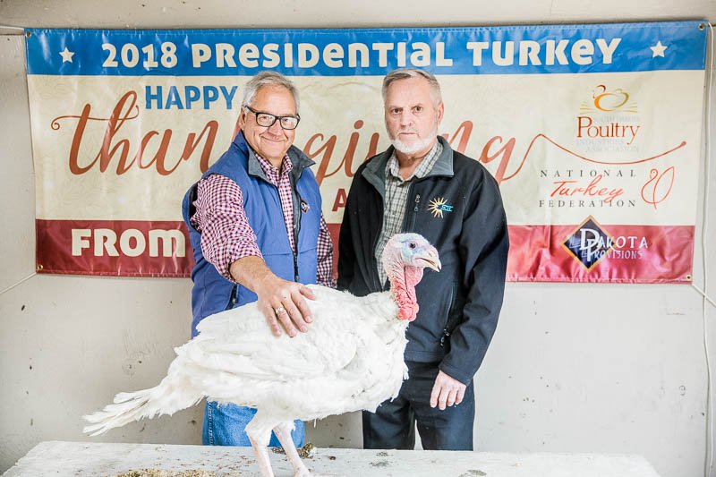 natlturkeyfed's tweet photo. Do you want the scoop on the #PresidentialTurkeys? Check out this profile from @Hungry4TruthSD giving you the South Dakota low down before the #turkeys make their debut in Washington DC! https://t.co/qRIrhaw1c8
#Thanksgiving #Thanksgiving2018 https://t.co/LGIYRifcKR