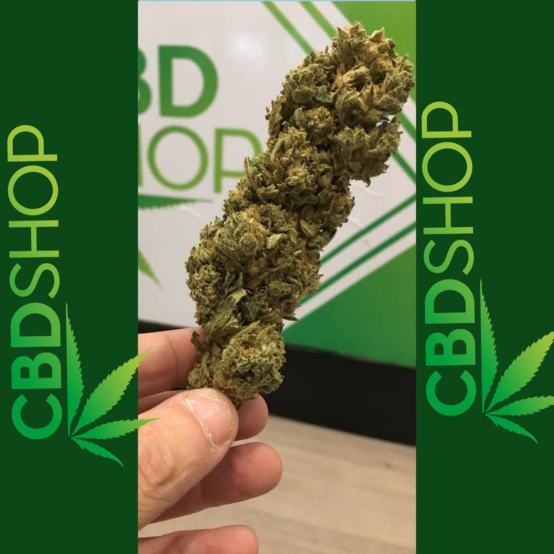 AngelaBoada5's tweet photo. Flores aromáticas #lemonhaze disponibles en nuestras tiendas y página web https://t.co/EdRWeBAK2f https://t.co/Z6n7kH6POZ