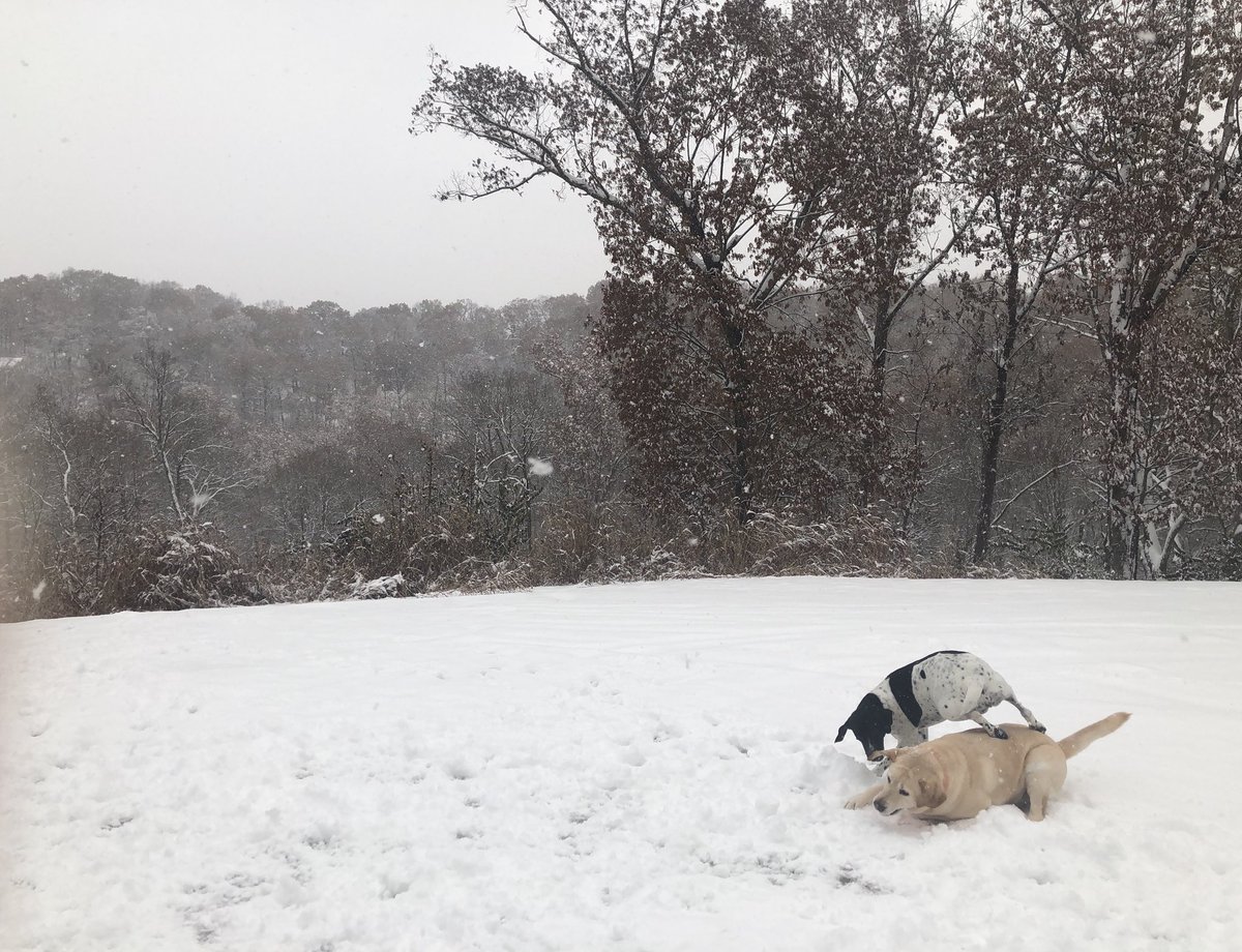 ktoddEHS_hub's tweet photo. snow day!! #EHS_hub https://t.co/WKisxewS6P