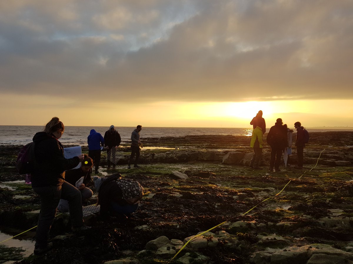 Nicky_Dobson's tweet photo. Great afternoon on the shore at #Flamborough with the #pracconshull students, all participating in @CapturingRCoast #GTP and #marineinvaders surveys https://t.co/k9xVefM1JK