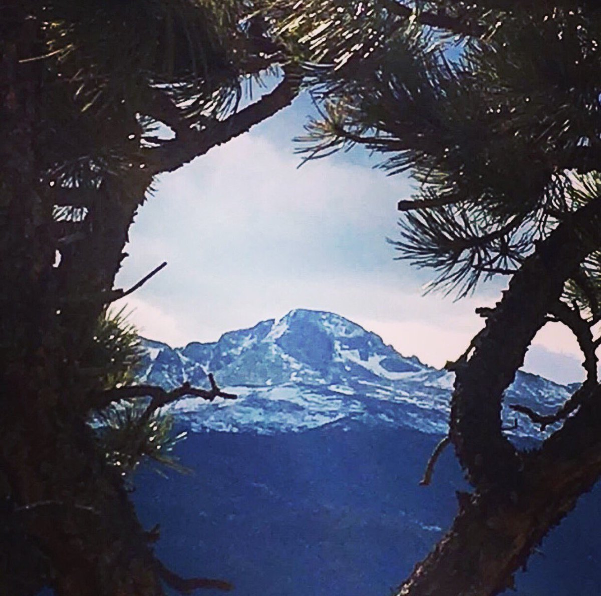 Love it when I get #framed shots like this! #longspeak #throughthetrees #14ers #14ersofcolorado #asseenonthetrail #trailpics #trailshots #hikingphotography #mountainphotography #14erphotography #hiking #hikingadventures #hikingday #dayhiking #landscape #landscapephotography