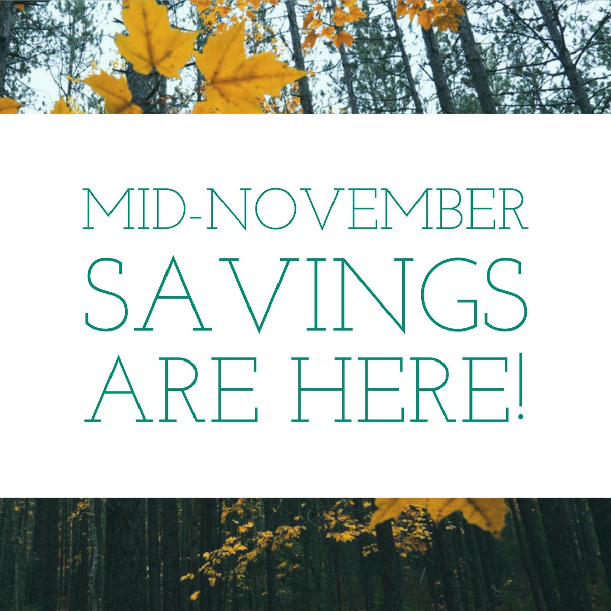 PapsmartCanada's tweet photo. Mid-November Savings are Here!  Save 15% site wide at https://t.co/u8ee1Ewxx7 with promo code: MidNov.  Offer expires at midnight on Nov 18th, 2018.  Offer valid online only.  Can not be combined with other offers.  #cpap #cpapdeals #cpapsale #discountcpap https://t.co/fYCPVjNaFK
