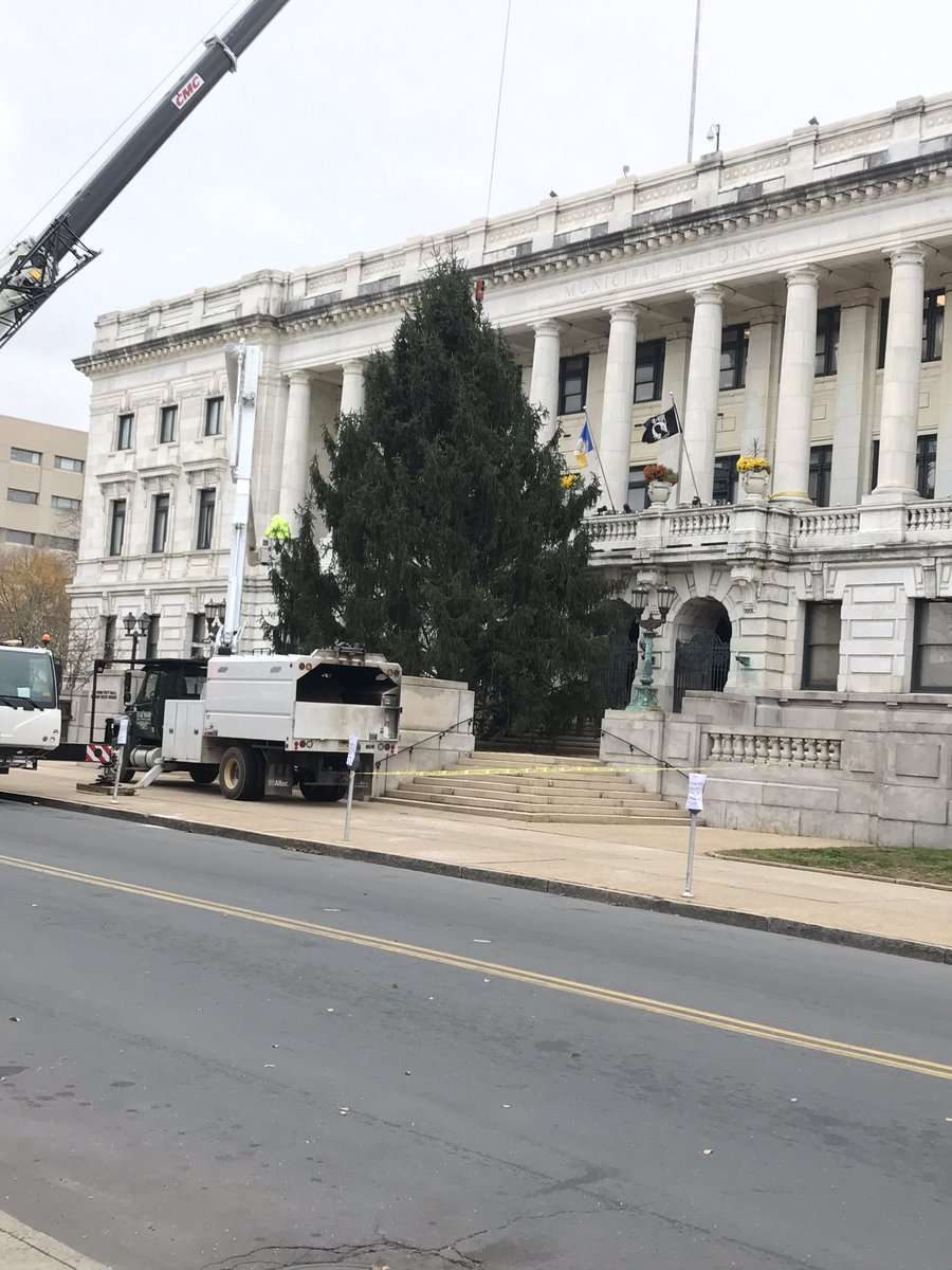 The Christmas tree is finally here in Trentinis it’s huge