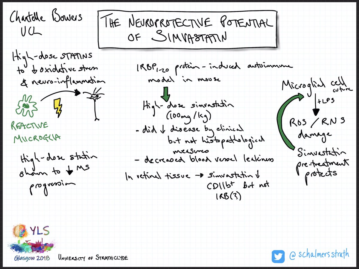 schalmersstrath's tweet photo. Chantelle Bowers from @ucl presenting @yls2018 . 

@physoc @BiochemSoc @BritPharmSoc 
#sketchnote https://t.co/luaQS8ZhSZ