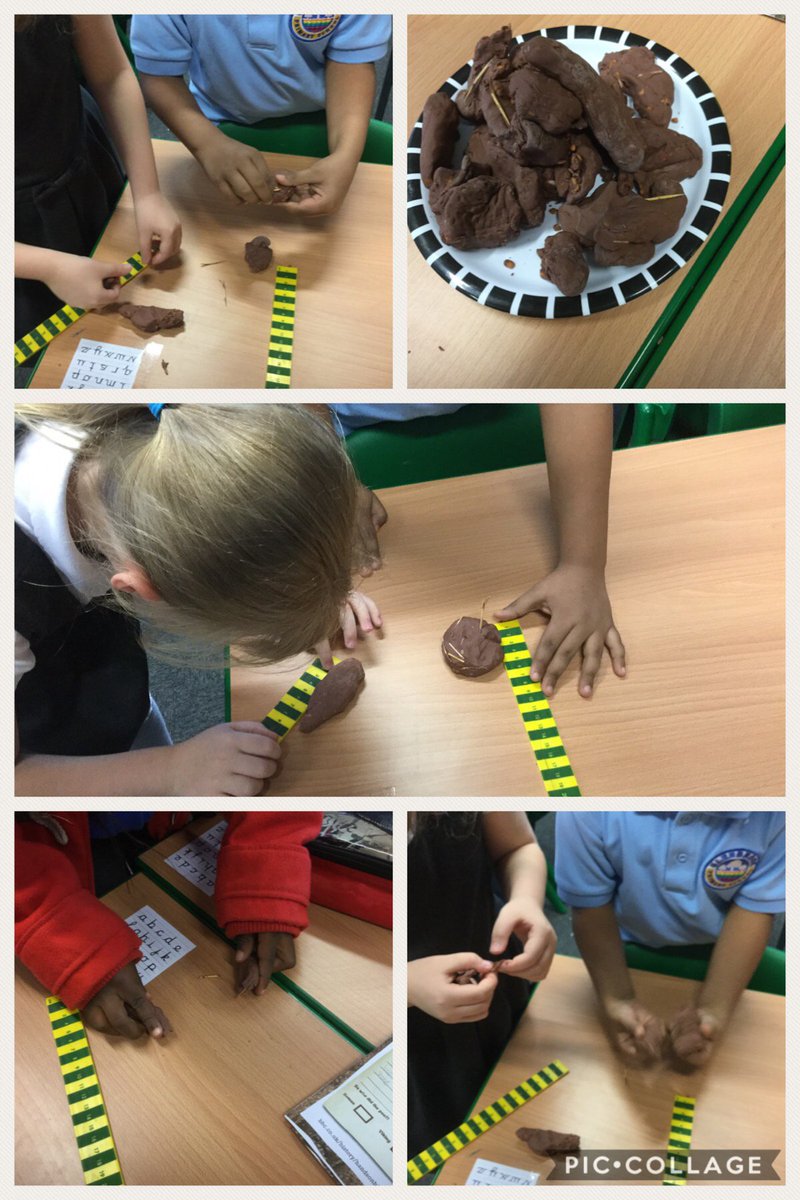 Y3Stars_Kings's tweet photo. This afternoon in Kingfishers we investigated what Vikings ate by looking at their poo!!! We found lentils, peas, bread and fish bones!!!!! Don't worry it was only play dough! @GlenbrookPrima1 https://t.co/dJ9CXcelbh