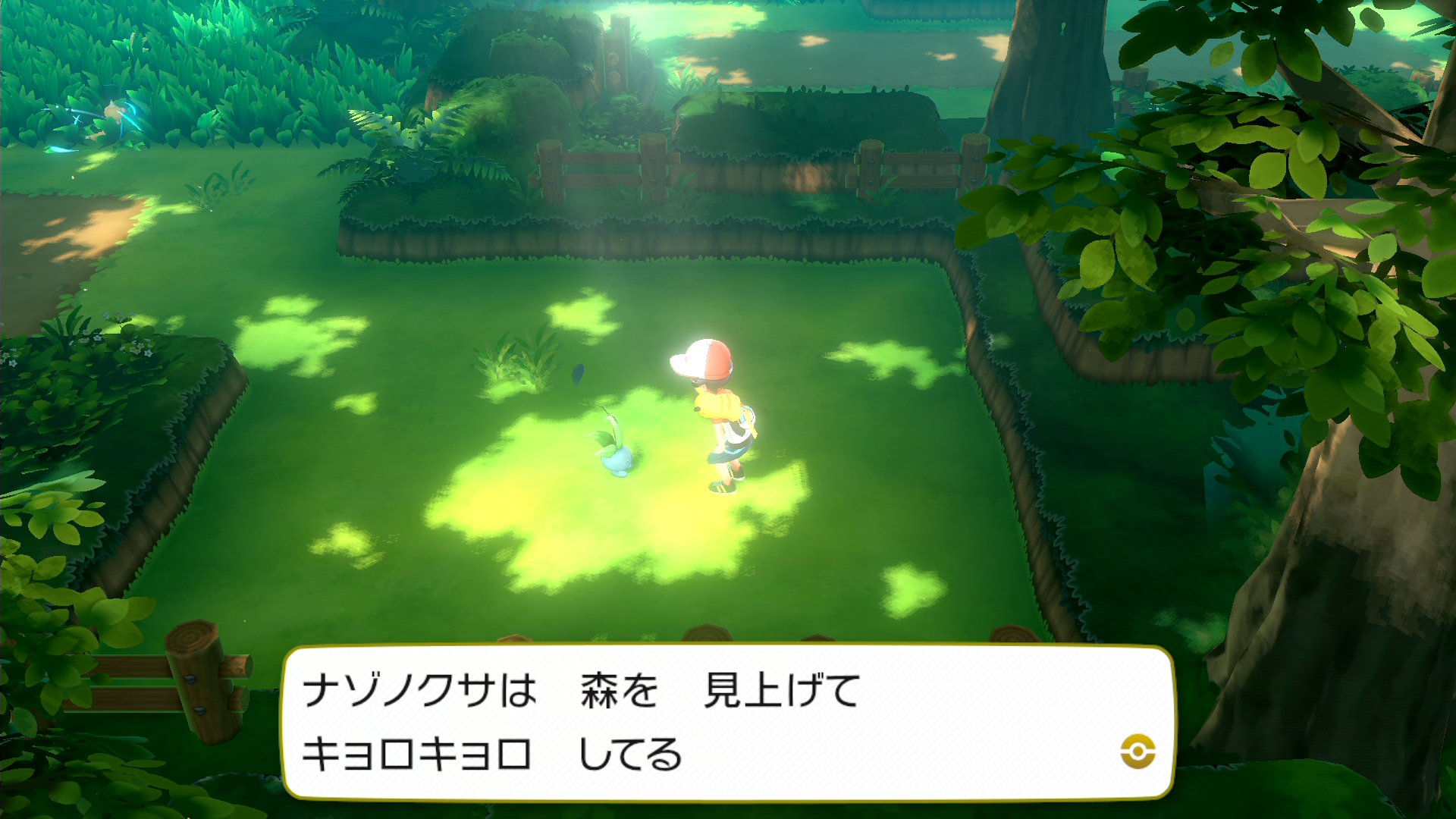 تويتر ぽけます ポケモンまとめマスター على تويتر ポケモンピカブイの連れ歩き ココが凄い １匹のポケモンでもメッセージが多い 話しかけている場所でリアクションが違う サイズ感バツグン 歩きモーションもそれぞれ ナゾノクサで例を見せておきます