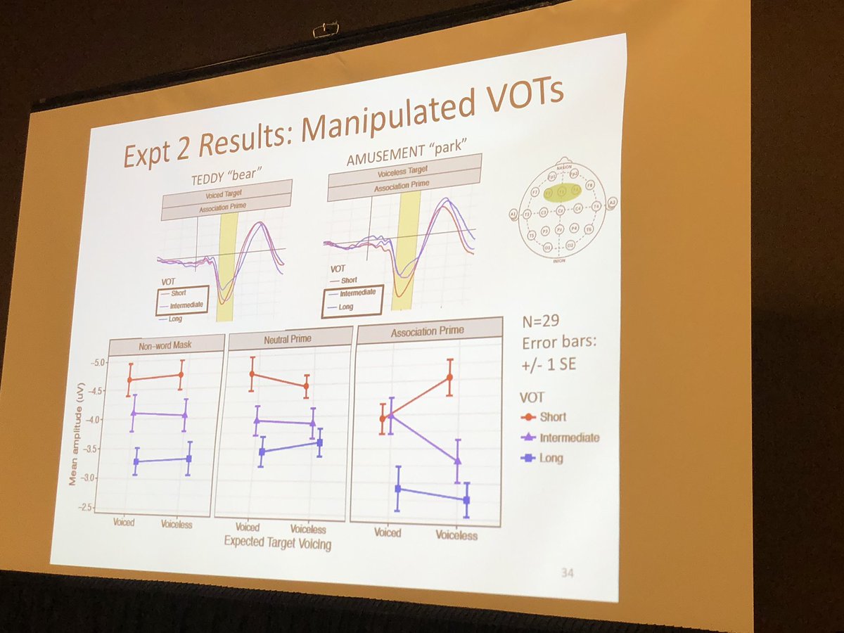 N100s corresponding to phoneme categorizing change in response to expectations from priming! Fascinating work on the interaction between bottom up and top down effects by Laura Getz