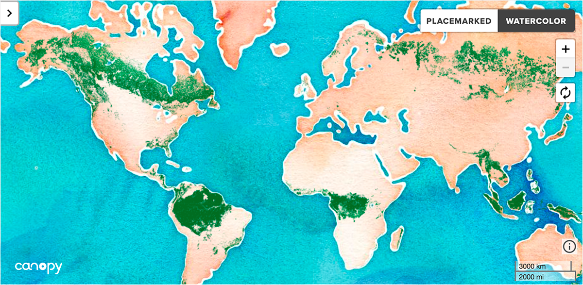 HH_GLOBAL's tweet photo. We support change! @HH_Global is a proud supporter of the tool #ForestMapper by @Canopyplanet.
Canopy’s ForestMapper is an interactive tool that supports companies as they assess potential risk in their supply chains.
#AmericaRecyclesDay https://t.co/KIpnLzOnIA