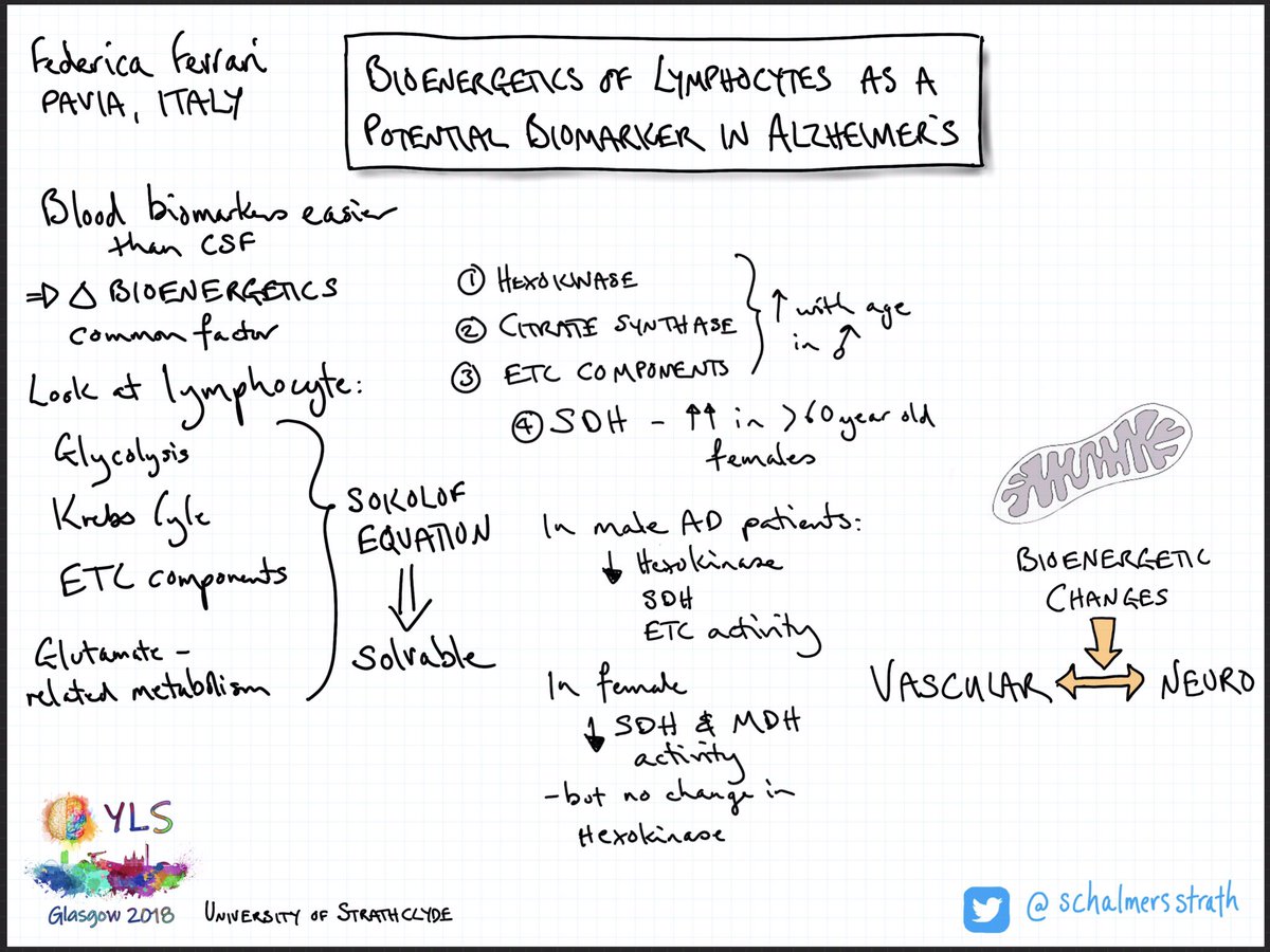 schalmersstrath's tweet photo. Federica Ferrari of @unipv presenting @yls2018 
@physoc @BiochemSoc @BritPharmSoc 
#sketchnote https://t.co/TAcnDXQNkY