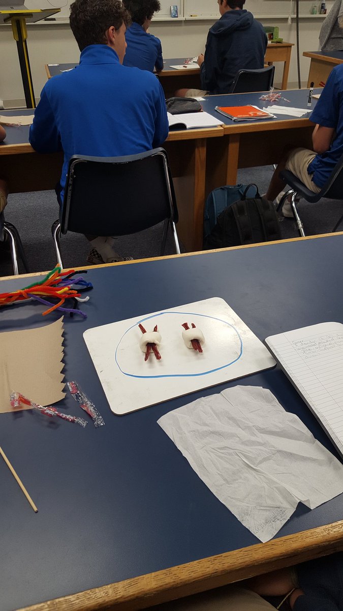 SCSHeadofSchool's tweet photo. Mrs. White had a great lesson today on DNA and Chromosomes!  The students enjoyed the hands on learning and the props! https://t.co/Lk7qIcelUV
