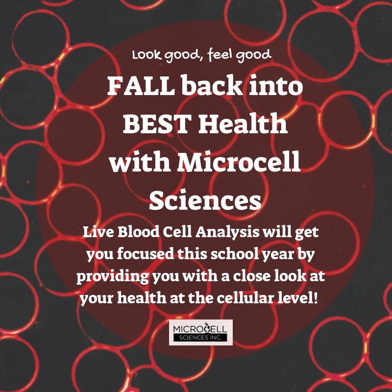 Darou Wellness tweet media