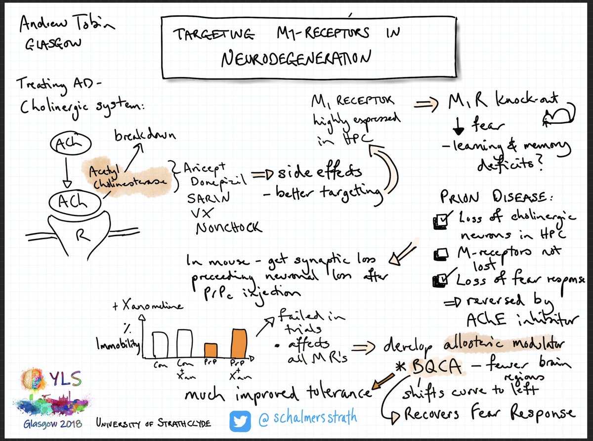 schalmersstrath's tweet photo. Andrew Tobin of @UofGlasgow bringing the talks @yls2018 to a close with a description of their development of new potential treatments for Alzheimer’s disease with fewer side-effects.
@physoc @BiochemSoc @BritPharmSoc 
#sketchnote https://t.co/1em44lol7q