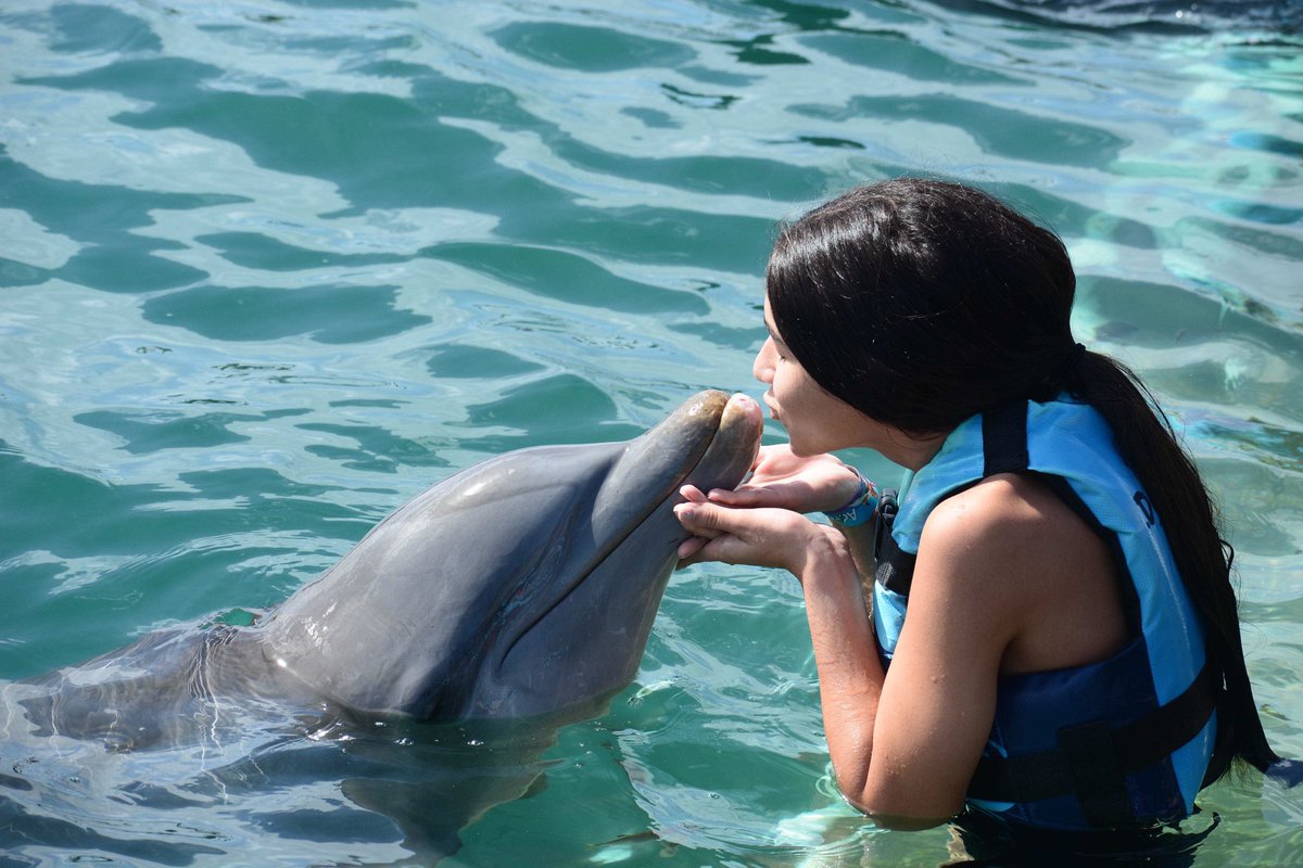 angeelyann's tweet photo. el mejor día de mi vida🐬💛 https://t.co/F1fjCzo2ol