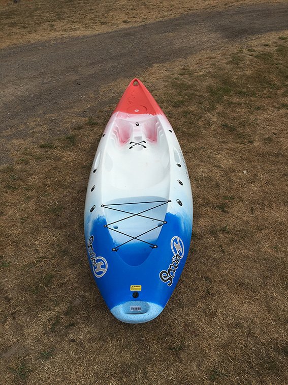 Paddle UK tweet media