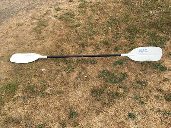 Paddle UK tweet media