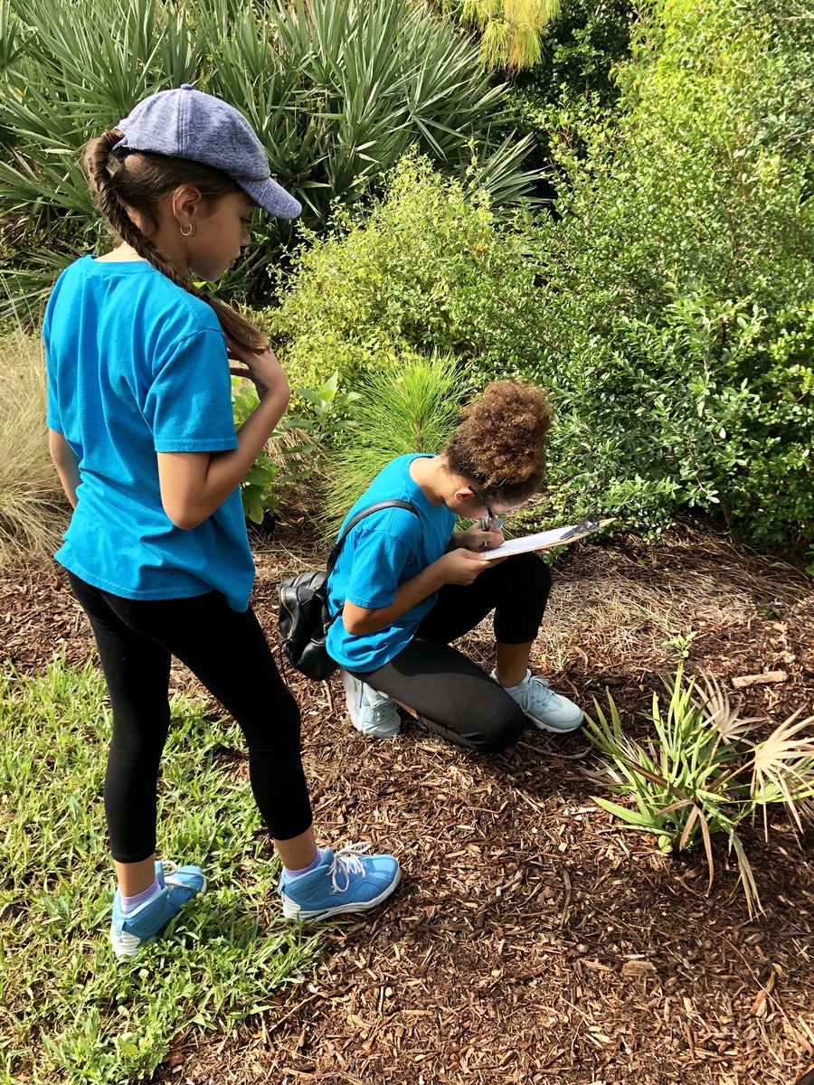andrewkearns64's tweet photo. Students from @HGESDolphins explore the @josemartimast native arboretum and identify trees during a #botany field trip to our school! #rainheldoff #inquiry 😃🌿#mast1819 @STEMDesignation @FairchildGarden @fl_native_plant @DCFNPS https://t.co/qs7WTgakL9