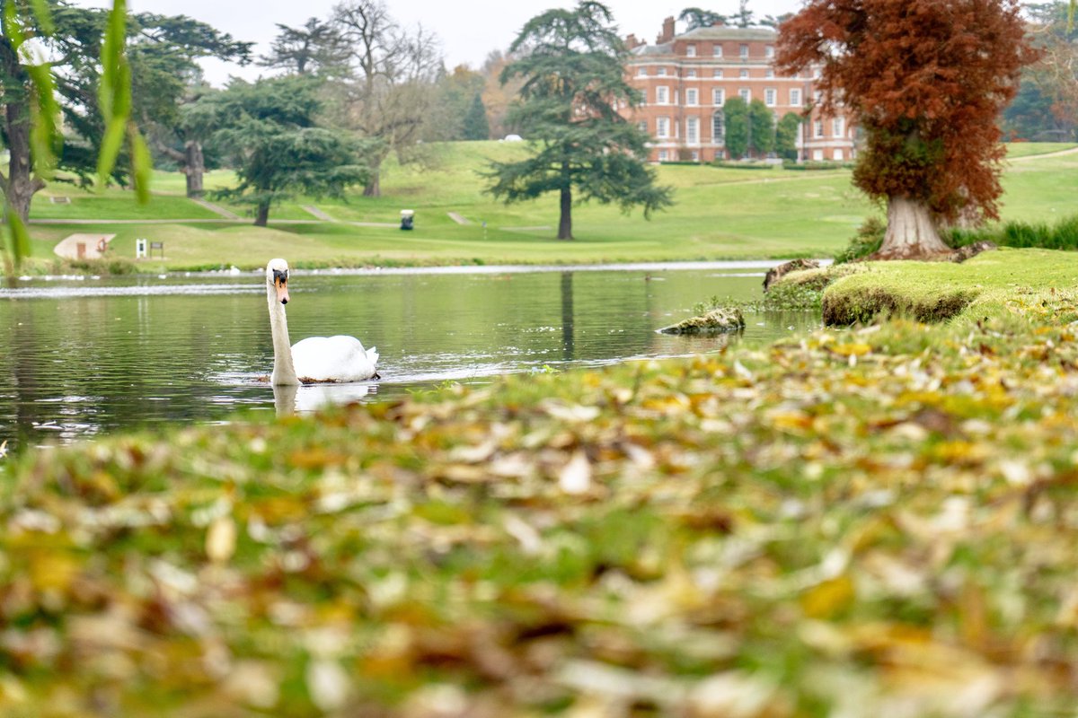 Brocket Hall tweet media