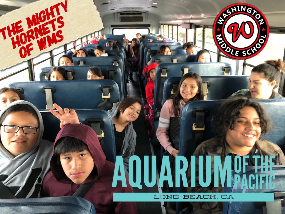Washington_BCSD's tweet photo. Learning Field Trip with 242 #Mighty 🐝 🐝🐝! #ReadingGoalsMet📚 #BeMighty❤️ #TeamBCSD https://t.co/p5Lw2SZvT8
