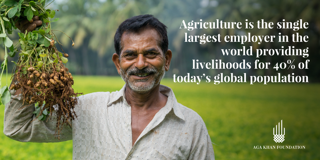 #DidYouKnow Boosting agricultural yields in food-scarce areas has been at the center of the AKF’s activities since its start. 🍉 🌽 🍊  

Learn more: bit.ly/2DsbqJ6 #QualityOfLife