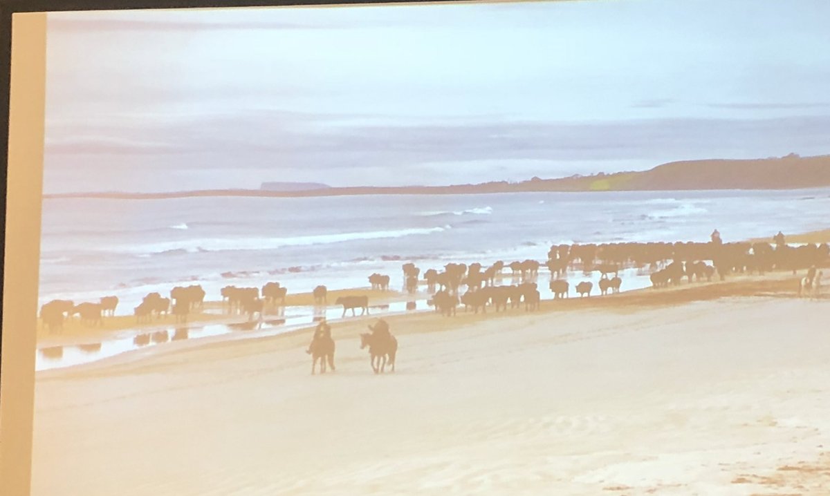 hodgenstein's tweet photo. I’ve been convinced to become a seaweed farmer from this #SustainableAg session on novel livestock ingredients or researcher for them & run my cows along the beach everyday. #MyNextCareer #INeedATour #AlwaysLearning #AlwaysDreaming #OceanCombines #seaweedfarming #oceanGraincart https://t.co/YGMgl3FWCw