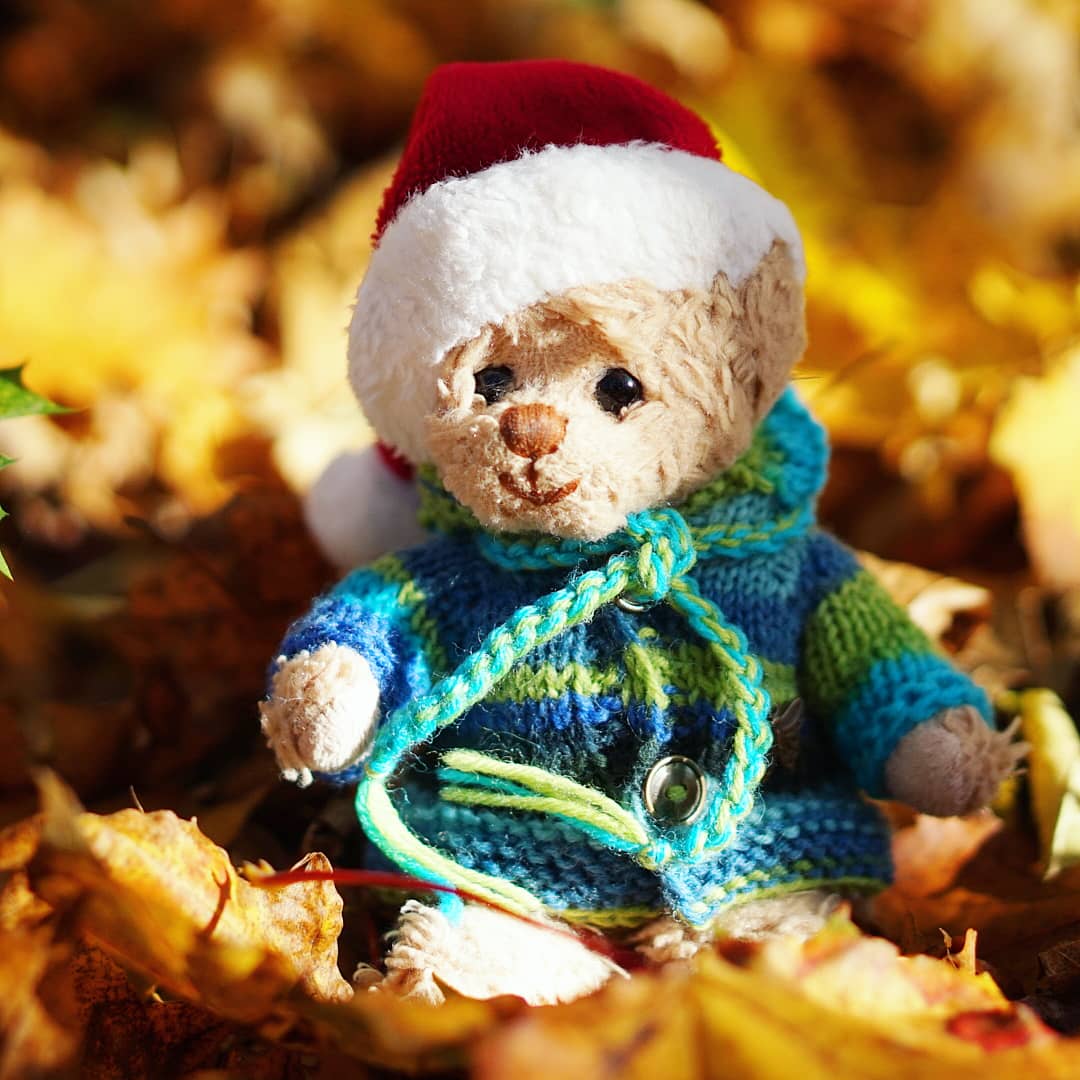 bubithebear's tweet photo. I'm enjoying the nature and thinking how lucky I'm to be here, to have the best humans ever and amazing friends like u π. I wish all the animals can have life like this π₯. They deserve better π.
#savetheanimals #naturephotopraphy #outumn
#bubithebear #portraitphotography https://t.co/kbOZSXCDiD