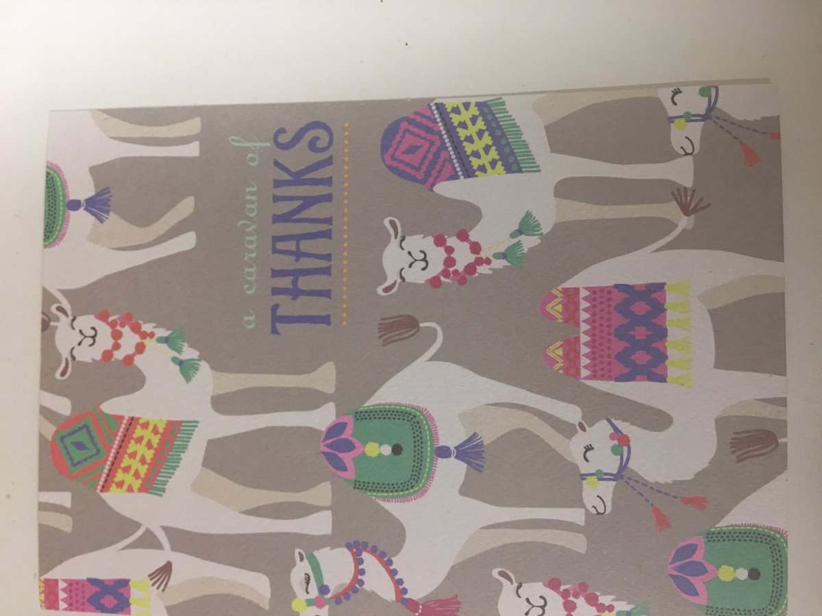ksullivan118's tweet photo. It made my day getting a thank you card from students at a different middle school in a different state after I had shown VR 360 to a fellow educator! She took it, ran with it, and her kiddos loved it! #unionmiddle #NC2SC #MGgators #exploretheVR https://t.co/Tt7YH1M1vh