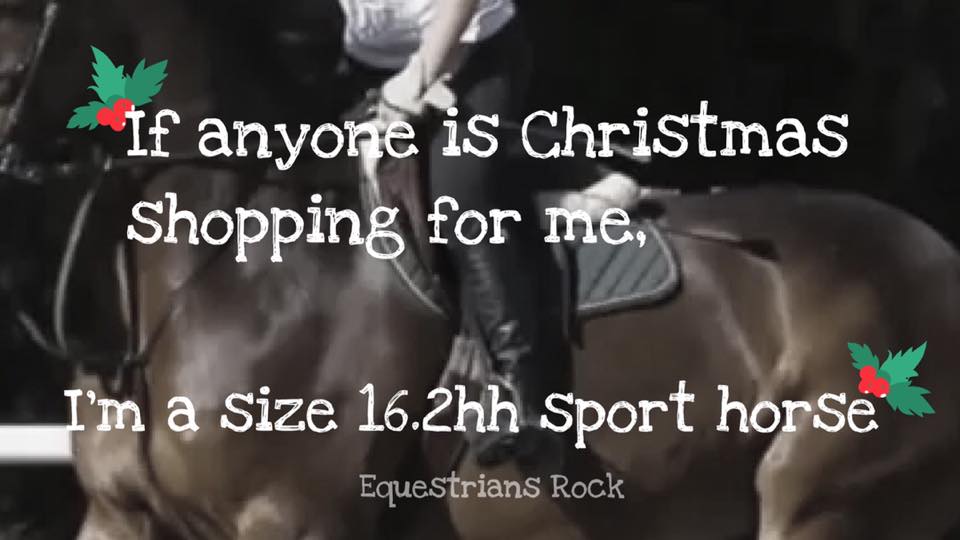 vitaflex's tweet photo. Just saying... #horsesoftwitter https://t.co/dRdtscIKZJ
