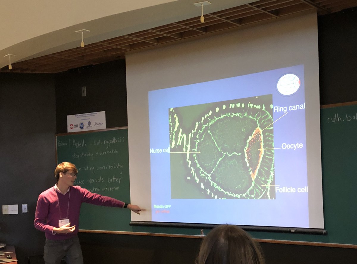ruth_baker's tweet photo. @jonty3502 telling us about recent work on mRNA localisation #birsmath https://t.co/9q2S4O139s