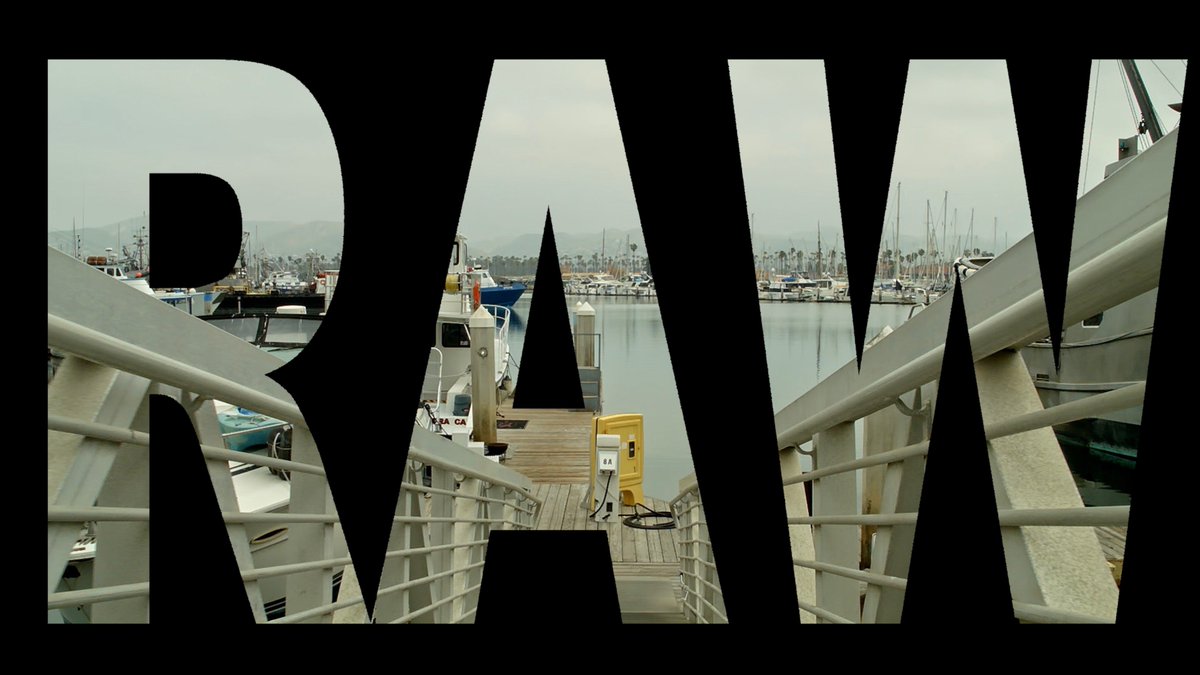 Nance Flynn tweet media