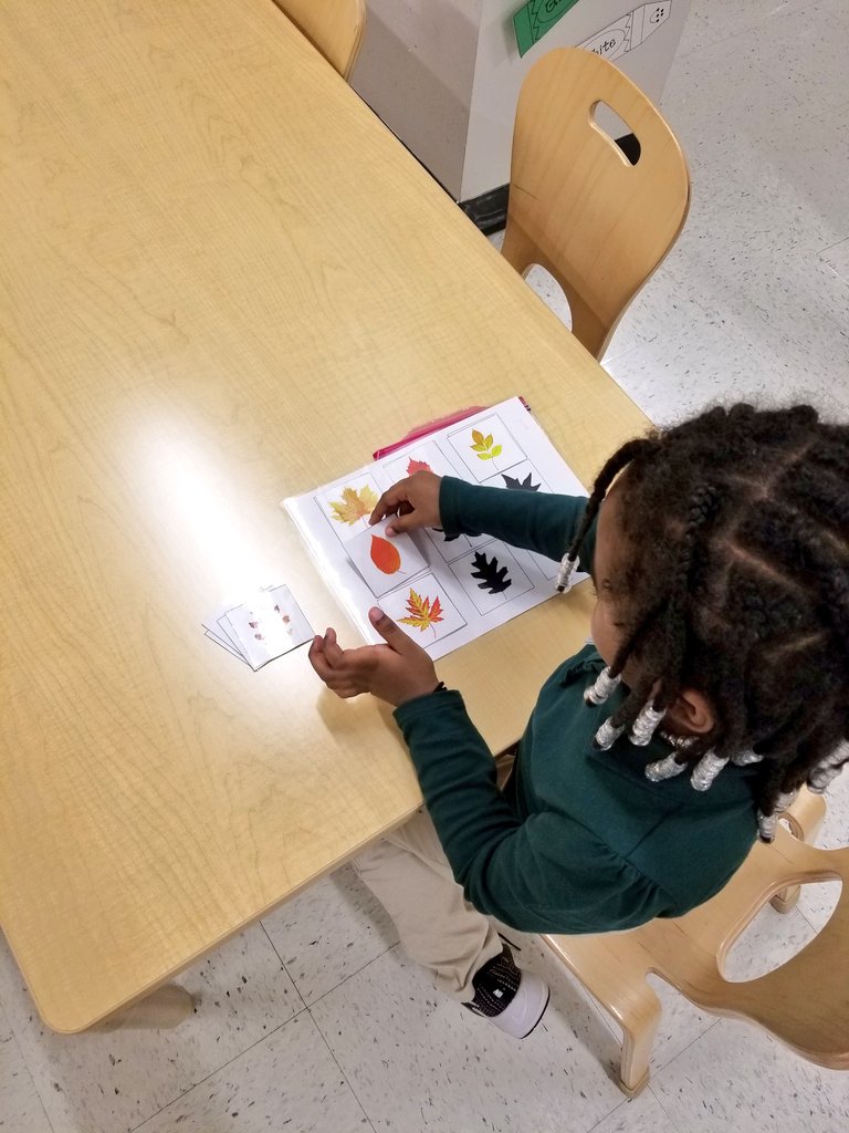 sandramohrmnps's tweet photo. Some of our fall @ExtLearningMNPS small and large group activities https://t.co/i7efo6Xxys