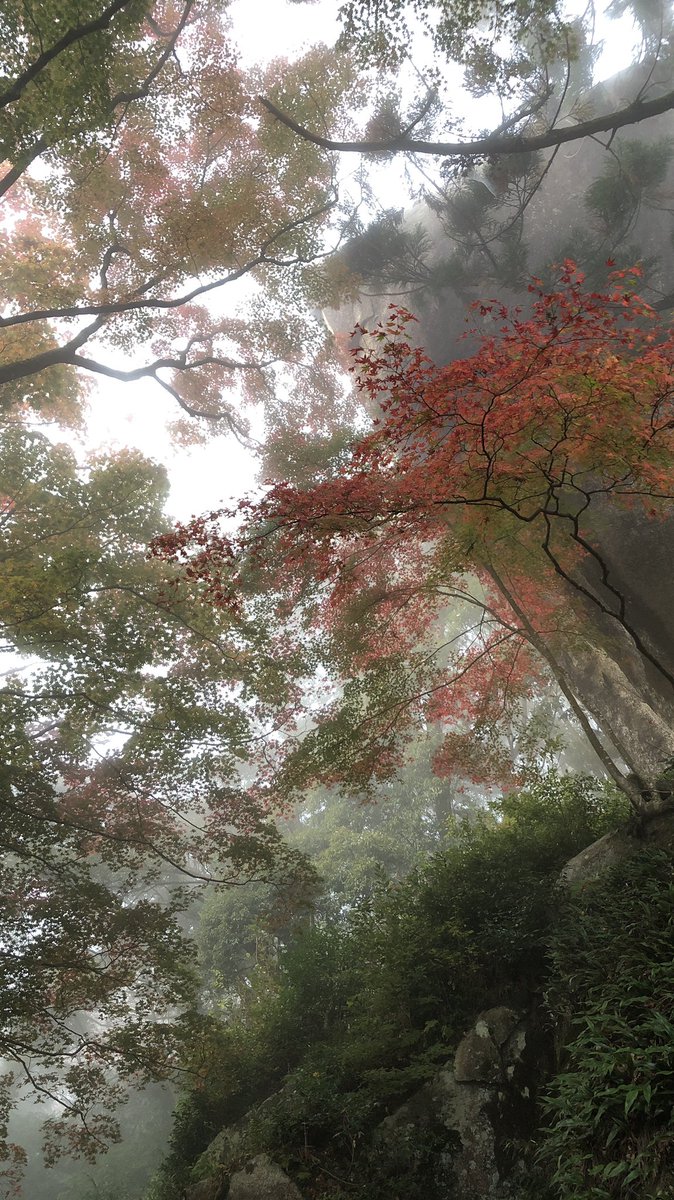 山寺の和尚さん 笠置寺 笠置山 紅葉情報 18 11 16 Am7 00 風のためか笠置山山頂は霧の中 もみじにとっては潤いになったかのようで しっとりとした朝です 京都 笠置 もみじ 紅葉 もうひとつの京都 南山城の古寺 笠置寺 Kyoto Kasagi 山寺の和尚さん 笠置寺 笠置山 紅葉情報 18 11 16 Am7 00 風のためか笠置山山頂は霧の中 もみじにとっては潤いになったかのようで しっとりとした朝です 京都 笠置 もみじ 紅葉 もうひとつの京都 南山城の古寺 笠置寺 Kyoto Kasagi