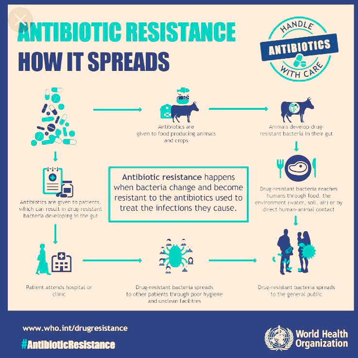 luvjitkandula's tweet photo. #AntibioticAwarenessWeek #Combatresistance #calltoaction #patients #public #hcp #howitspreads #stopoveruse #antiobioticguardian #who #phe # https://t.co/VkJ0opnb4s