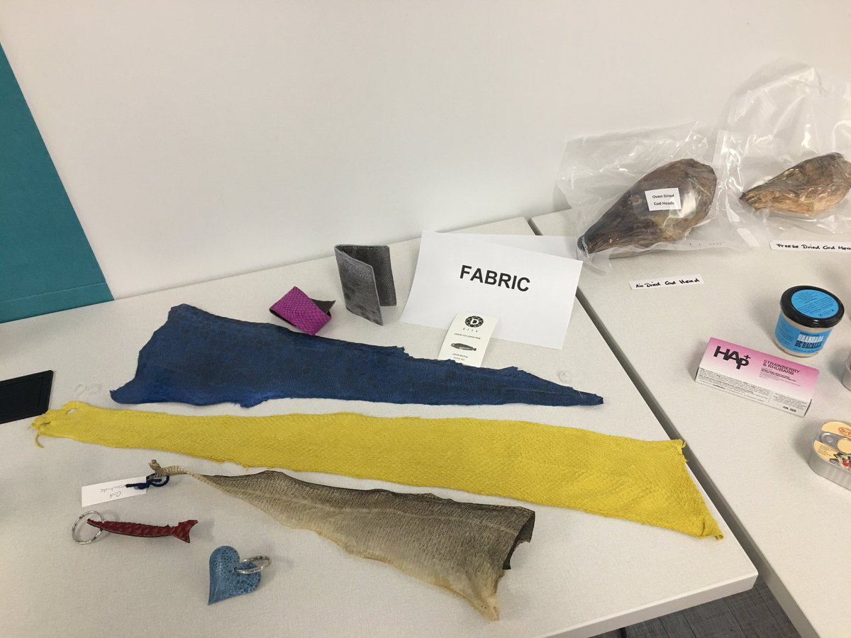 MUN_MCE's tweet photo. MCE and @marineinstitute have partnered to offer UPSCALE: Creating cosmetics, fashion & food businesses from fish byproducts #FishingForABusiness #FishInnovation #AddedValueFish https://t.co/oOZlpOElYk