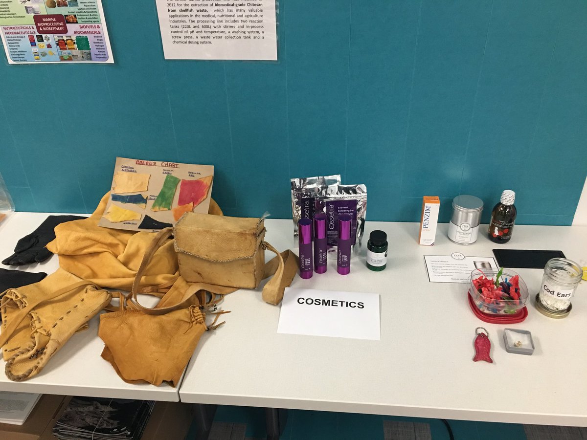 MUN_MCE's tweet photo. MCE and @marineinstitute have partnered to offer UPSCALE: Creating cosmetics, fashion & food businesses from fish byproducts #FishingForABusiness #FishInnovation #AddedValueFish https://t.co/oOZlpOElYk