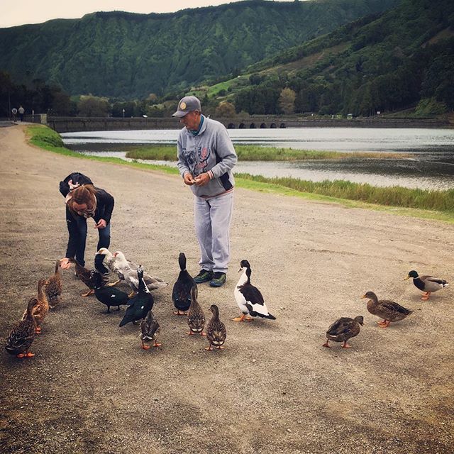 cBlechi's tweet photo. Enten 🦆❤️🦆❤️ #ente #holiday #travel #travelholic #beautifulplaces #travelphotography #picoftheday #azores #nature #naturelovers #ducks #ducklover #setecidades #travelgram #instatravel #iloveducks #goodtimes #vacation #vacationmode #animalloversofinstagram #animallovers https://t.co/7VNlOEww3F