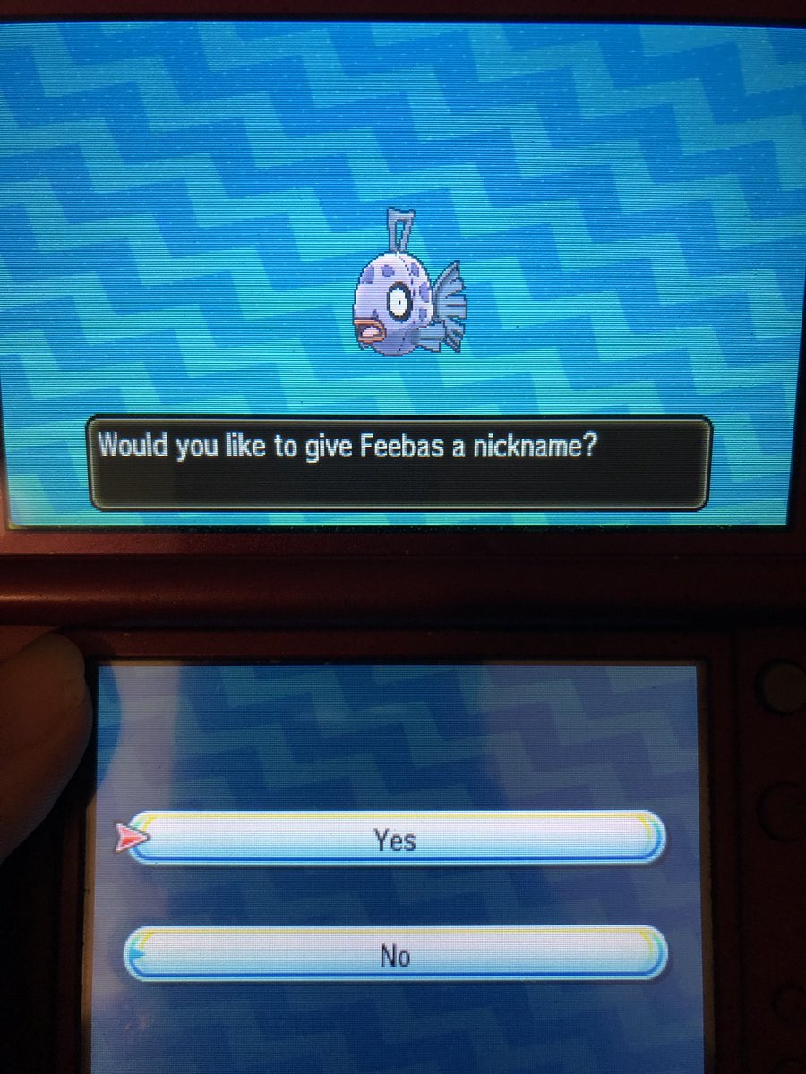 oscarhallii's tweet photo. HOLY CRAP FEEBAS AFTER 113 ENCOUNTERS #HolyShinx @theSupremeRk9s https://t.co/0BJJtAvELm