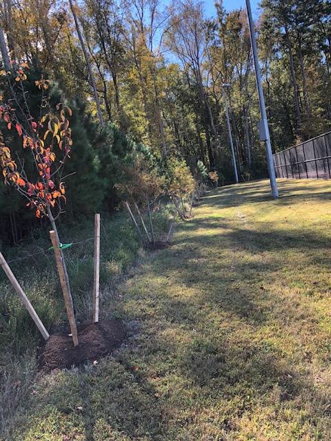 MissionGPlanet's tweet photo. Thank you so much to Symsi Denson of Virginia Beach Land Management for continuing the vision of Mission Green Planet! 25 full sized Cypress, Red Buds, and Black Gums were planted on Kellam property! Let’s keep regrowing the forest! #trees #treeplanting https://t.co/CjFz8X0azA