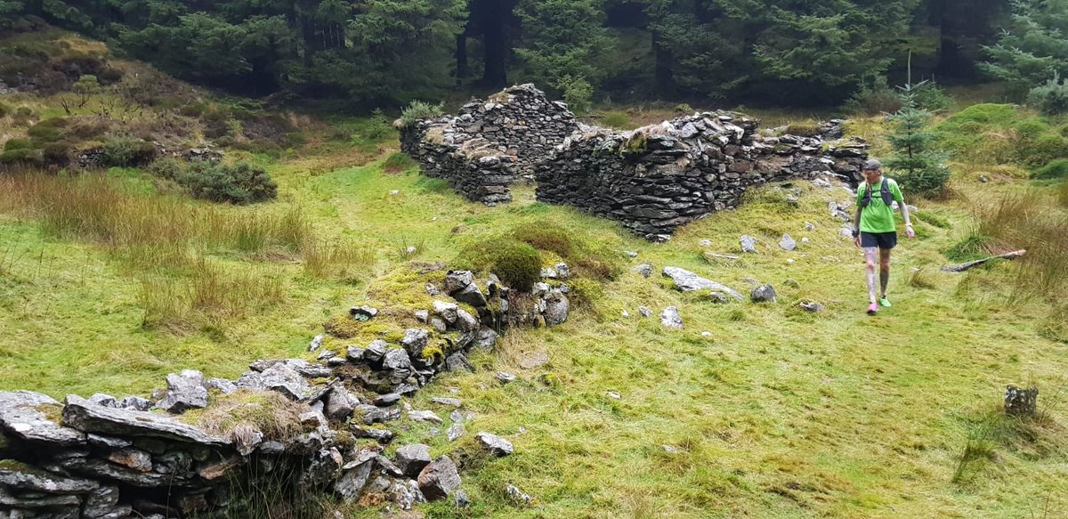 JuJuJay3's tweet photo. New adventure this morning for Nicola training. But really as tough as the hills were it was fun too😎🏃‍♀️🏃🏻💪🇮🇪😱🌳 #trailrunningwicklow #jujujay #mudsweatandrunners #guidedrunning https://t.co/Ss82xFsOoA