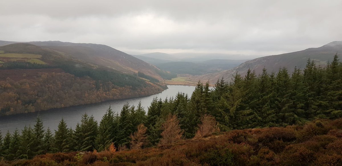 JuJuJay3's tweet photo. New adventure this morning for Nicola training. But really as tough as the hills were it was fun too😎🏃‍♀️🏃🏻💪🇮🇪😱🌳 #trailrunningwicklow #jujujay #mudsweatandrunners #guidedrunning https://t.co/Ss82xFsOoA