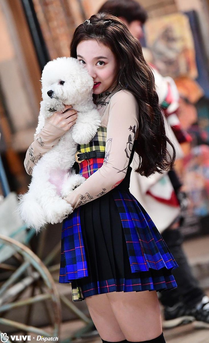archivenayeon's tweet photo. our dog lover 🐕🐶🐩💗 https://t.co/kLGjhXGK4k